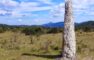 A classic ancient burial Dolman in the Languedoc
