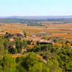 Autumn in the Languedoc