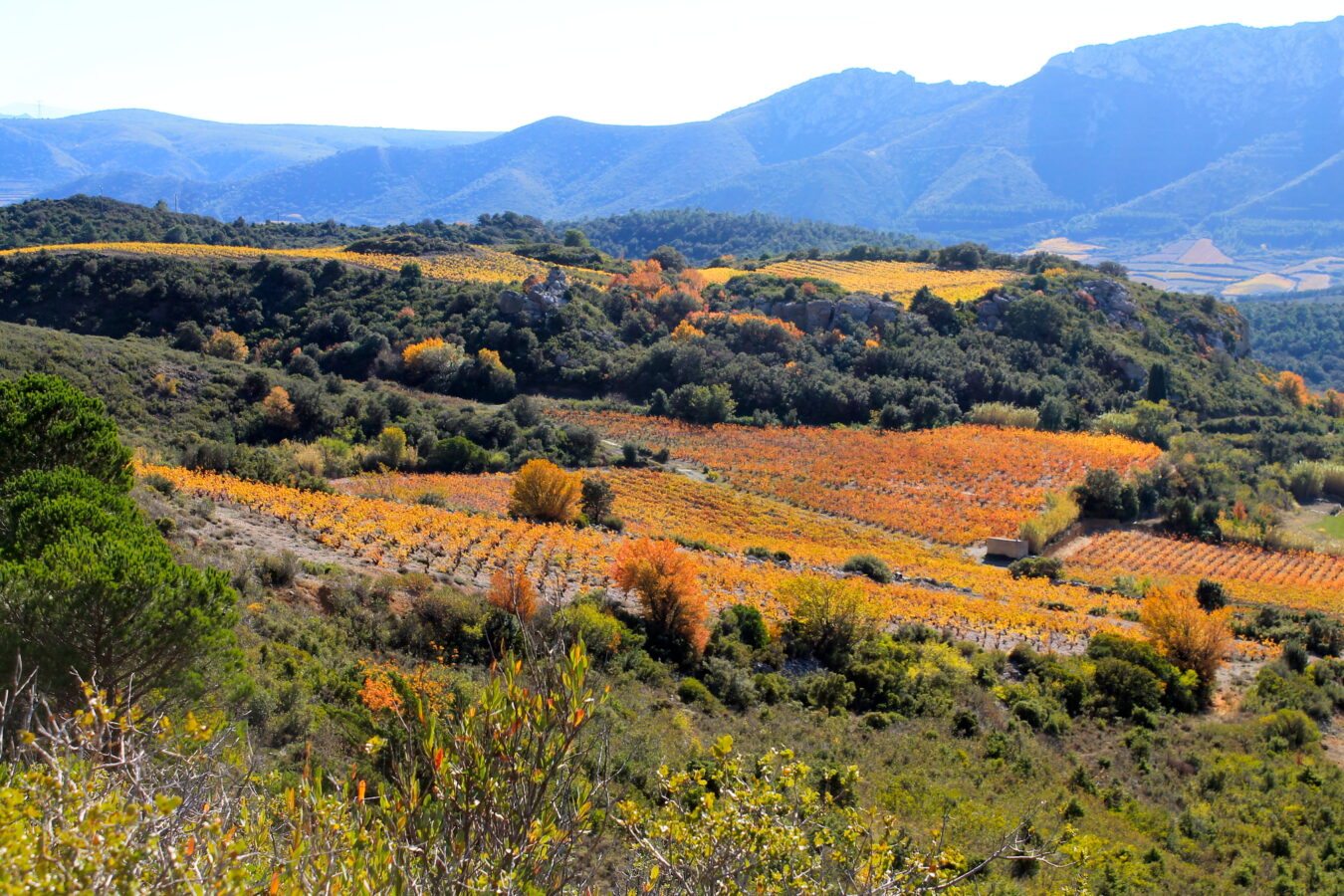 Work remotely in S.France: Long-stay deals for digital nomads